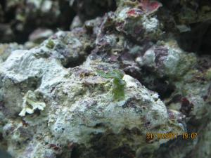 gallery_15405_1143_435317.jpg