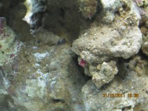 gallery_15405_1143_444927.jpg