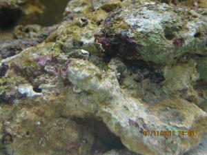 gallery_15405_1143_534438.jpg