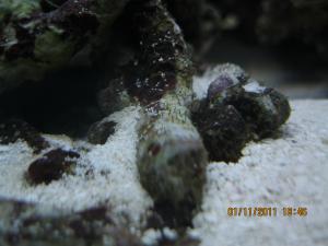 gallery_15405_1143_713396.jpg