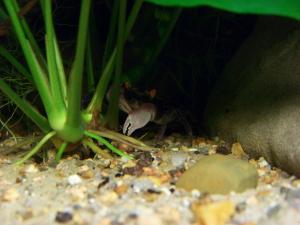 gallery_16532_1152_780715.jpg