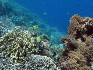 gallery_10418_1155_148177.jpg