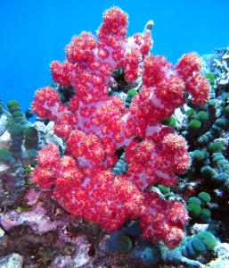 gallery_10418_1155_379037.jpg