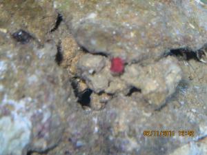 gallery_15405_1143_649980.jpg