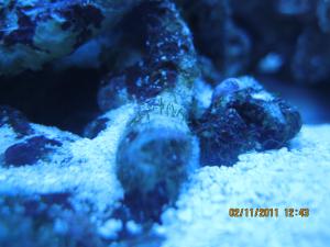 gallery_15405_1143_662913.jpg