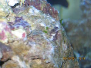 gallery_15405_1143_713951.jpg