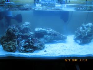 gallery_15405_1143_1142350.jpg