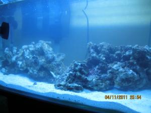 gallery_15405_1143_1268920.jpg