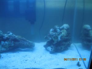 gallery_15405_1143_134863.jpg