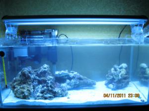 gallery_15405_1143_214457.jpg