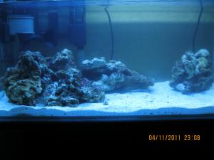 gallery_15405_1143_372349.jpg