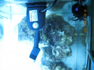 gallery_15405_1143_549752.jpg