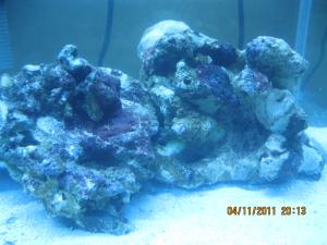 gallery_15405_1143_557336.jpg