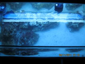gallery_15405_1143_573880.jpg
