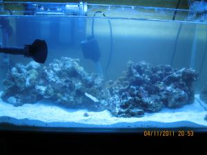 gallery_15405_1143_64946.jpg