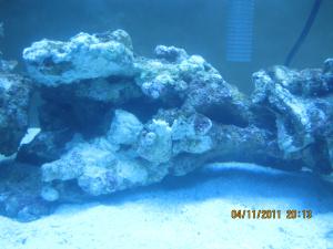 gallery_15405_1143_773809.jpg