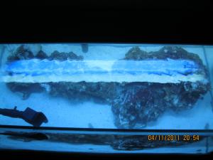 gallery_15405_1143_88808.jpg