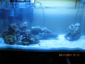 gallery_15405_1143_949540.jpg