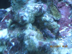 gallery_15405_1163_1287298.jpg
