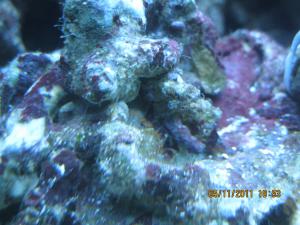 gallery_15405_1163_271647.jpg
