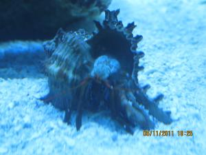 gallery_15405_1163_360446.jpg
