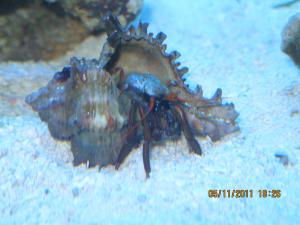 gallery_15405_1163_46800.jpg