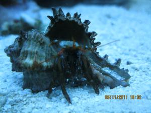 gallery_15405_1163_554327.jpg