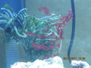 gallery_15405_1163_65220.jpg