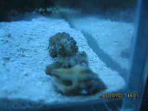 gallery_15405_1163_689531.jpg