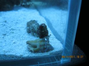 gallery_15405_1163_742986.jpg