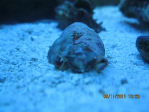 gallery_15405_1163_816452.jpg