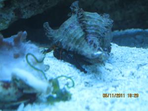 gallery_15405_1163_983602.jpg