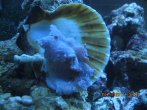 gallery_15405_1163_1283605.jpg
