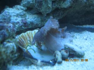 gallery_15405_1163_60031.jpg