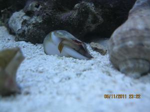 gallery_15405_1163_622923.jpg