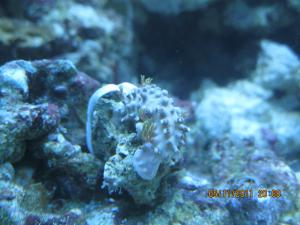 gallery_15405_1163_690476.jpg