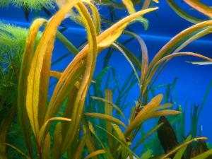 gallery_17100_1167_1820215.jpg