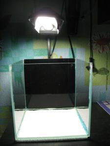 gallery_10800_1175_92464.jpg