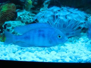 gallery_18376_1190_1730930.jpg