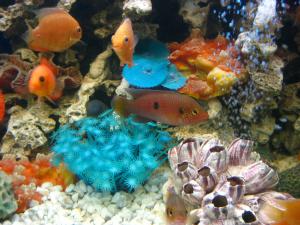 gallery_18376_1190_577756.jpg
