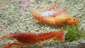 gallery_18450_1187_197355.jpg