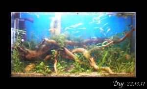 gallery_18450_1187_3933007.jpg