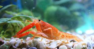 gallery_18450_1187_451683.jpg