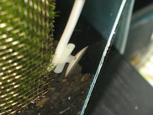 gallery_10800_1175_39203.jpg