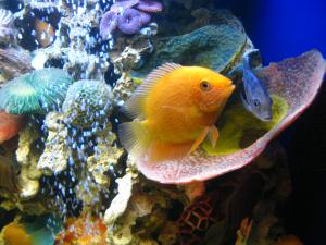 gallery_18376_1190_428455.jpg