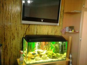gallery_13340_765_751104.jpg