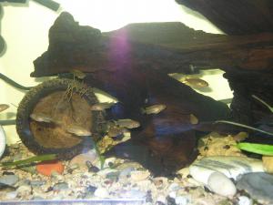 gallery_19255_1205_32110.jpg