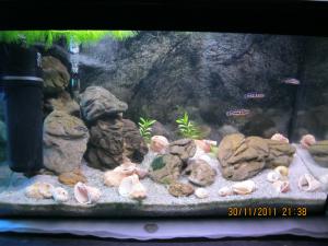 gallery_15405_1107_468524.jpg