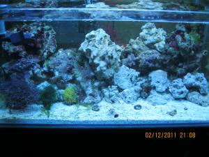 gallery_15405_1143_1436324.jpg