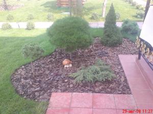 gallery_18160_1210_39889.jpg
